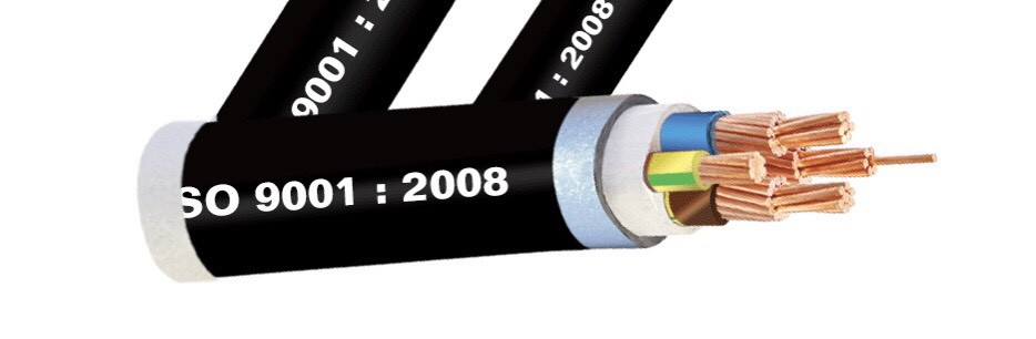 Cadisun - Dây cáp đồng 4 lõi Hạ thế 3*70+1x50