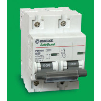 Cầu dao tự động 2 cực PS100H/2/D80