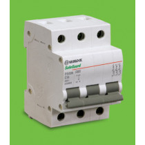 Cầu dao tự động 3 cực PS45N/C3020